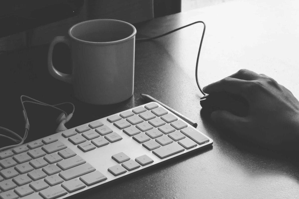 Kiến thức chăm sóc sen đá số 19